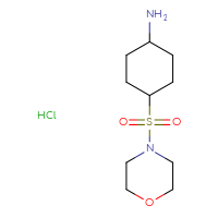 Chemical structure of 4-(morpholine-4-sulfonyl)cyclohexan-1-amine hydrochloride - CSSB20895627982