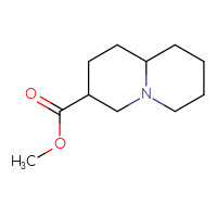 C11H19NO2