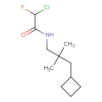 Chemical structure of 2-chloro-N-(3-cyclobutyl-2,2-dimethylpropyl)-2-fluoroacetamide - CSSB21332125200