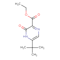 Chemical structure of ethyl 5-tert-butyl-3-oxo-3,4-dihydropyrazine-2-carboxylate - CSSB14948215418