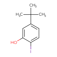 Chemical structure of 5-tert-butyl-2-iodophenol - CSSB00010201833