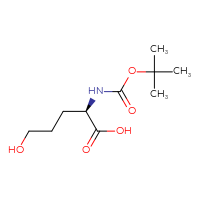 C10H19NO5