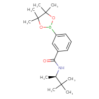 Chemical structure of N-[(2R)-3,3-dimethylbutan-2-yl]-3-(4,4,5,5-tetramethyl-1,3,2-dioxaborolan-2-yl)benzamide - CSSB21332847883