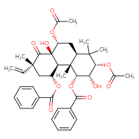 Chemical structure of (2S,3S,4R,4aS,4bS,5R,7R,8aR,9R,10aS)-2,9-bis(acetyloxy)-5-(benzoyloxy)-7-ethenyl-3,8a-dihydroxy-1,1,4a,7-tetramethyl-8-oxo-tetradecahydrophenanthren-4-yl benzoate - CSSB00161002471