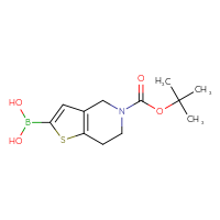 Chemical structure of {5-[(tert-butoxy)carbonyl]-4H,5H,6H,7H-thieno[3,2-c]pyridin-2-yl}boronic acid - CSSB00010383713
