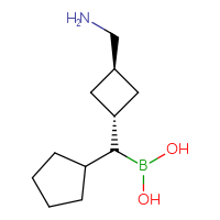 C11H22BNO2