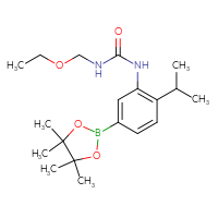 Chemical structure of 3-(ethoxymethyl)-1-[2-(propan-2-yl)-5-(4,4,5,5-tetramethyl-1,3,2-dioxaborolan-2-yl)phenyl]urea - CSSB21245995209