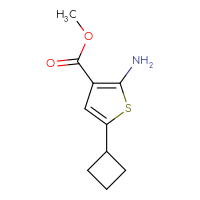 C10H13NO2S