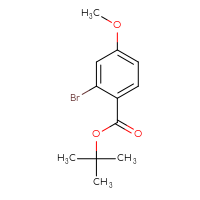 Chemical structure of tert-butyl 2-bromo-4-methoxybenzoate - CSSB02499191691