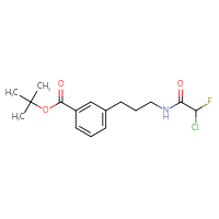 Chemical structure of tert-butyl 3-[3-(2-chloro-2-fluoroacetamido)propyl]benzoate - CSSB21332120410