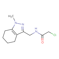 Chemical structure of 2-chloro-N-[(1-methyl-4,5,6,7-tetrahydro-1H-indazol-3-yl)methyl]acetamide - CSSB03558991358