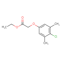 Chemical structure of ethyl 2-(4-chloro-3,5-dimethylphenoxy)acetate - CSSB00011204541