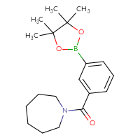 Chemical structure of 1-[3-(4,4,5,5-tetramethyl-1,3,2-dioxaborolan-2-yl)benzoyl]azepane - CSSB02195991377