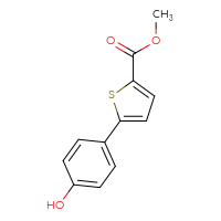 Chemical structure of methyl 5-(4-hydroxyphenyl)thiophene-2-carboxylate - CSSB00010174209