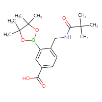 C19H28BNO5