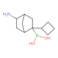 C11H20BNO2