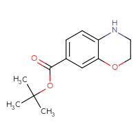 Chemical structure of tert-butyl 3,4-dihydro-2H-1,4-benzoxazine-7-carboxylate - CSSB00137314987