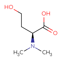 C6H13NO3