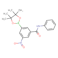 Chemical structure of 3-nitro-N-phenyl-5-(4,4,5,5-tetramethyl-1,3,2-dioxaborolan-2-yl)benzamide - CSSB00025753402