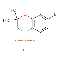 Chemical structure of 7-bromo-2,2-dimethyl-3,4-dihydro-2H-1,4-benzoxazine-4-sulfonyl chloride - CSSB21224775757