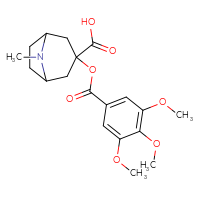 Chemical structure of 8-methyl-3-(3,4,5-trimethoxybenzoyloxy)-8-azabicyclo[3.2.1]octane-3-carboxylic acid - CSSB00121628139