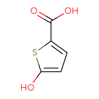 Chemical structure of 5-hydroxythiophene-2-carboxylic acid - CSSB00134802392