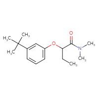 Chemical structure of 2-(3-tert-butylphenoxy)-N,N-dimethylbutanamide - CSSB01432918761