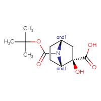 C12H19NO5