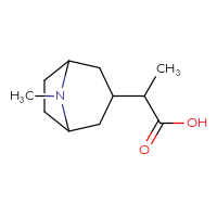 C11H19NO2