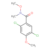 Chemical structure of 2,5-dichloro-N,4-dimethoxy-N-methylbenzamide - CSSB01395048516