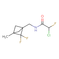 Chemical structure of 2-chloro-N-({2,2-difluoro-3-methylbicyclo[1.1.1]pentan-1-yl}methyl)-2-fluoroacetamide - CSSB21332168677