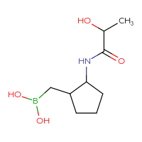 C9H18BNO4