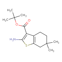 Chemical structure of tert-butyl 2-amino-6,6-dimethyl-4,5,6,7-tetrahydro-1-benzothiophene-3-carboxylate - CSSB00000708670