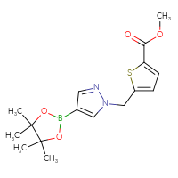 Chemical structure of methyl 5-{[4-(4,4,5,5-tetramethyl-1,3,2-dioxaborolan-2-yl)-1H-pyrazol-1-yl]methyl}thiophene-2-carboxylate - CSSB06302084652