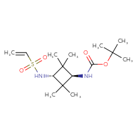 Chemical structure of tert-butyl N-[(1r,3r)-3-ethenesulfonamido-2,2,4,4-tetramethylcyclobutyl]carbamate - CSMB20969216086