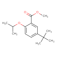 Chemical structure of methyl 5-tert-butyl-2-(propan-2-yloxy)benzoate - CSSB00134009156