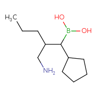 C11H24BNO2