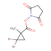 Chemical structure of 2,5-dioxopyrrolidin-1-yl 2,2-dibromo-1-methylcyclopropane-1-carboxylate - CSSB17484213845