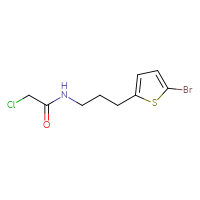 Chemical structure of N-[3-(5-bromothiophen-2-yl)propyl]-2-chloroacetamide - CSSB20678858665