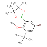 Chemical structure of 2-(5-bromo-3-tert-butyl-2-methoxyphenyl)-4,4,5,5-tetramethyl-1,3,2-dioxaborolane - CSSB03445590638