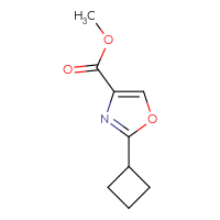 Chemical structure of methyl 2-cyclobutyl-1,3-oxazole-4-carboxylate - CSSB00015458712