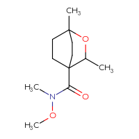 Chemical structure of N-methoxy-N,1,3-trimethyl-2-oxabicyclo[2.2.2]octane-4-carboxamide - CSSB15027631537