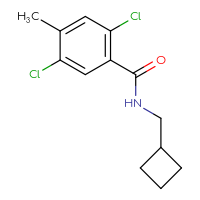 Chemical structure of 2,5-dichloro-N-(cyclobutylmethyl)-4-methylbenzamide - CSSB06663020874