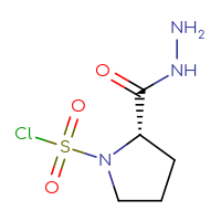 Chemical structure of (2S)-2-(hydrazinecarbonyl)pyrrolidine-1-sulfonyl chloride - CSSB14990427294