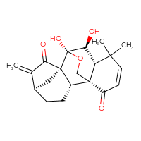 Chemical structure of (1S,2S,5R,8S,9S,10S,11R)-9,10-dihydroxy-12,12-dimethyl-6-methylidene-17-oxapentacyclo[7.6.2.1⁵,⁸.0¹,¹¹.0²,⁸]octadec-13-ene-7,15-dione - CSSB00103151162