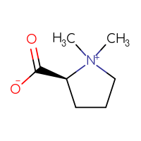 C7H13NO2