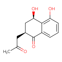 Chemical structure of (2R,4R)-4,5-dihydroxy-2-(2-oxopropyl)-1,2,3,4-tetrahydronaphthalen-1-one - CSSB20621661681