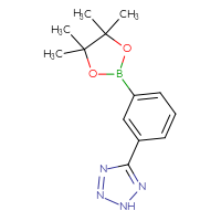 Chemical structure of 5-[3-(4,4,5,5-tetramethyl-1,3,2-dioxaborolan-2-yl)phenyl]-2H-1,2,3,4-tetrazole - CSSB00010286267