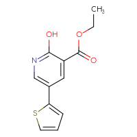Chemical structure of ethyl 2-hydroxy-5-(thiophen-2-yl)pyridine-3-carboxylate - CSSB15038344356