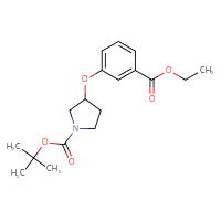 Chemical structure of tert-butyl 3-[3-(ethoxycarbonyl)phenoxy]pyrrolidine-1-carboxylate - CSSB16163298521
